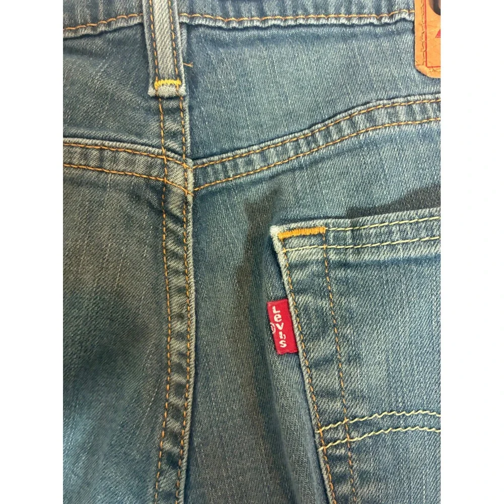 Levis levis 511